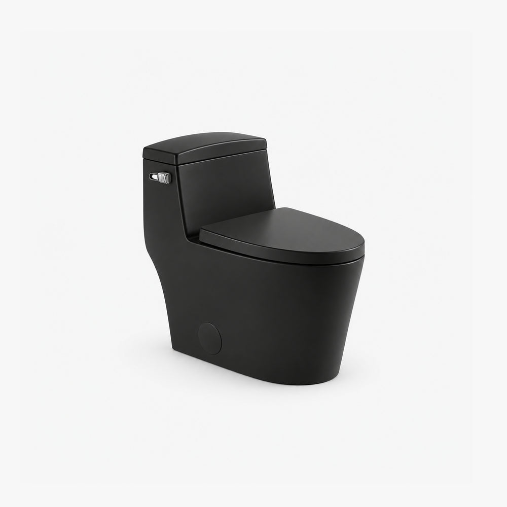 Toilette allongée monobloc
