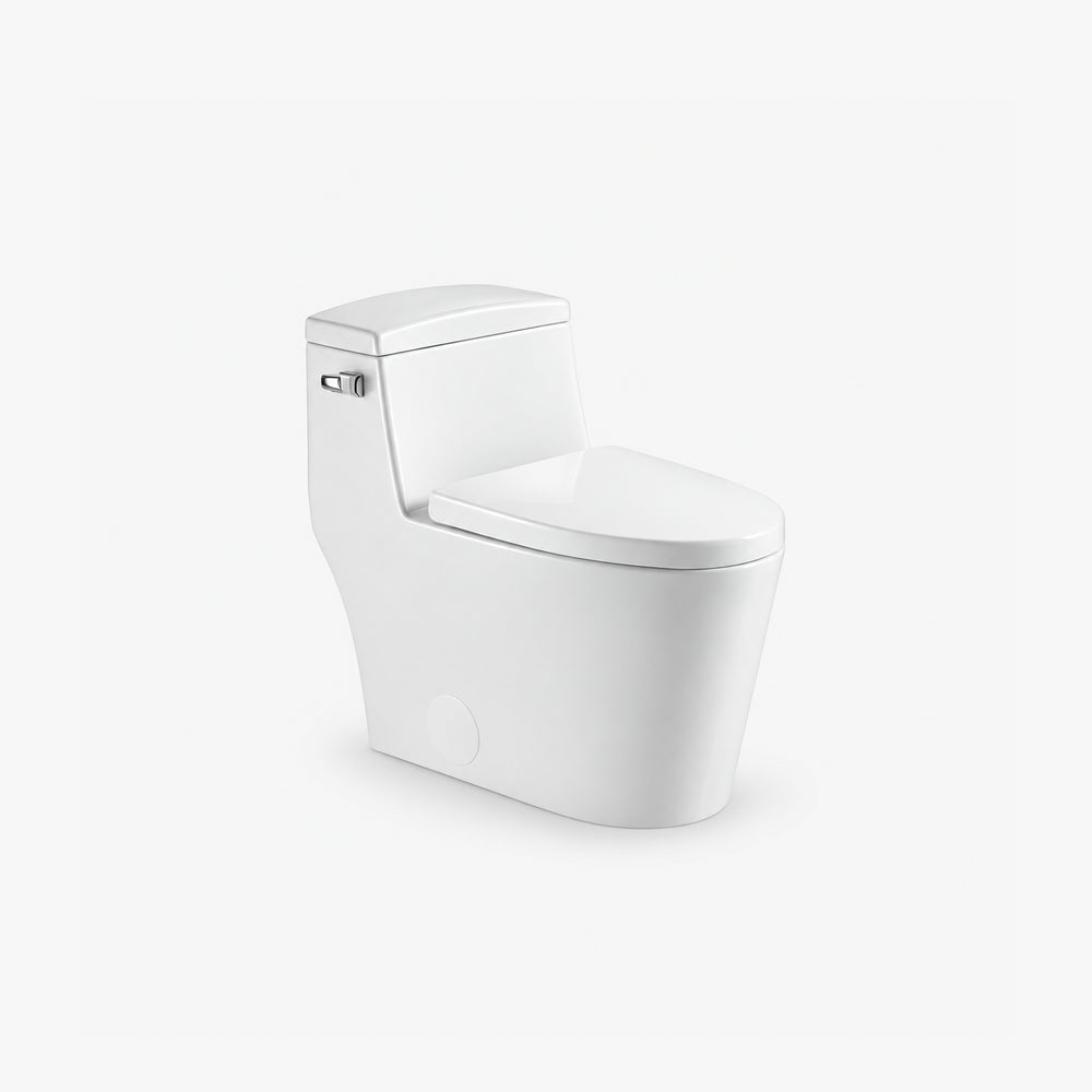 Toilette allongée monobloc
