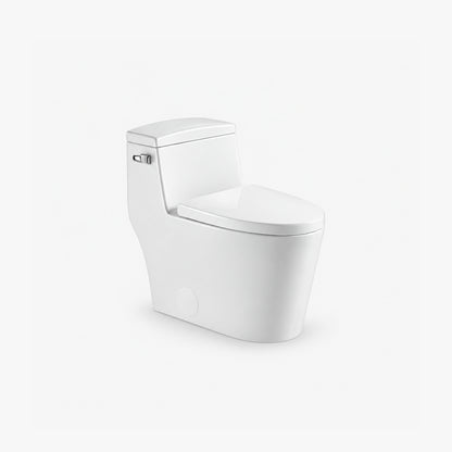 Toilette allongée monobloc
