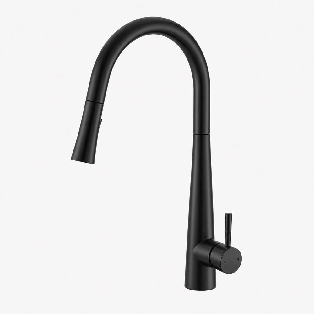 Robinet de cuisine extractible