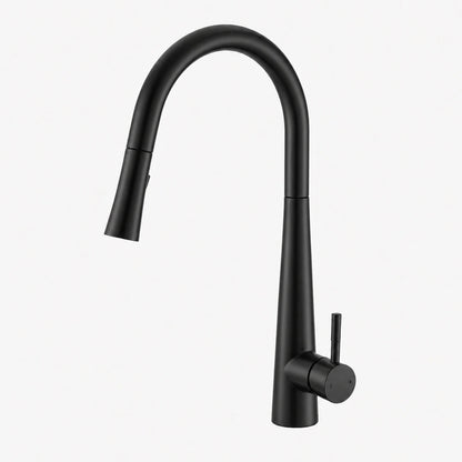 Robinet de cuisine extractible