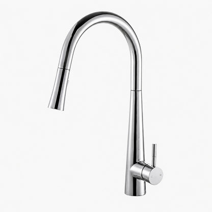 Robinet de cuisine extractible