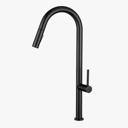 Pulldown Kitchen Faucet