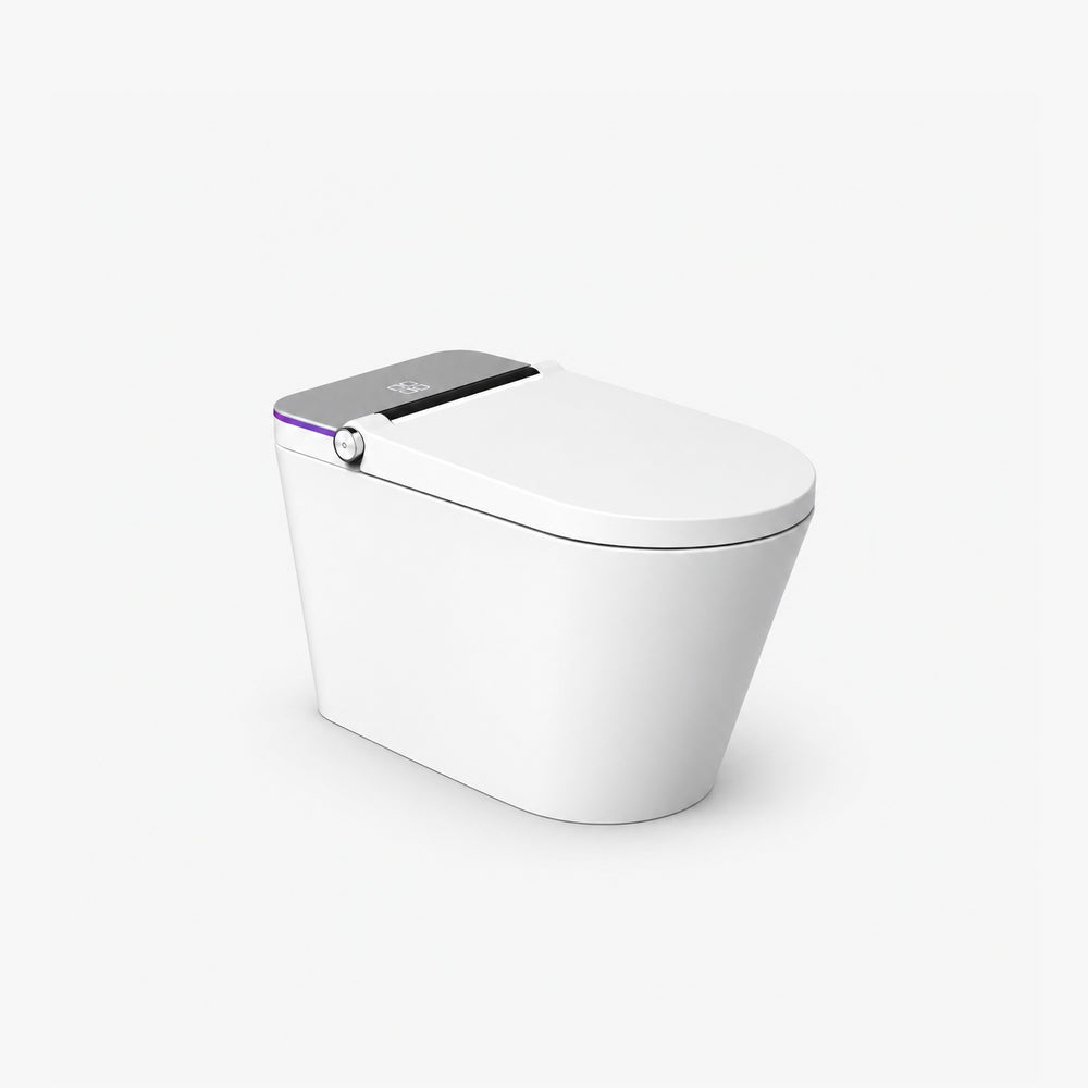 One Piece Elongated Smart Toilet