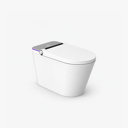 One Piece Elongated Smart Toilet