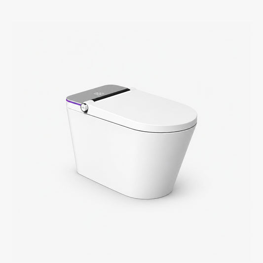 One Piece Elongated Smart Toilet