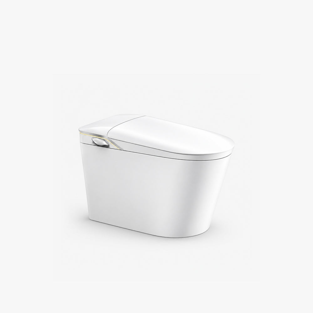 Toilette intelligente allongée monobloc