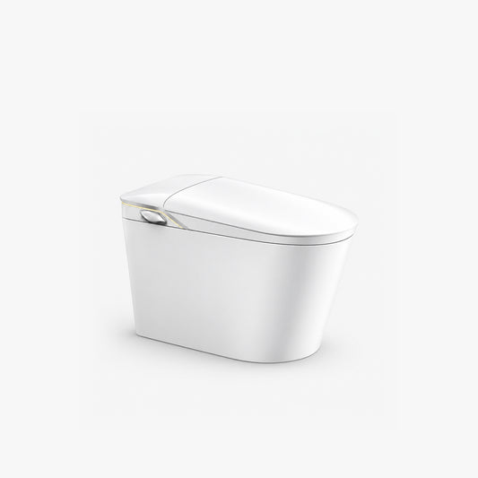 One Piece Elongated Smart Toilet